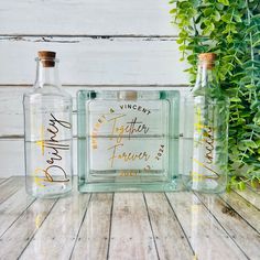 two empty glass bottles sitting on top of a wooden table next to a potted plant