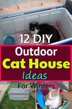 two cats sitting in an outdoor cat house with text overlay that reads, 12 diy outdoor cat house ideas for winter