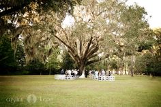 a group of people standing under a large tree