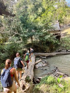 group of people walking across a bridge over a river in the woods on a sunny day