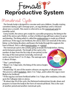 the menstruct cycle is an important tool for children to learn how to use it