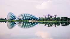 the gardens by the bay in singapore are reflected in the still water on this sunny day