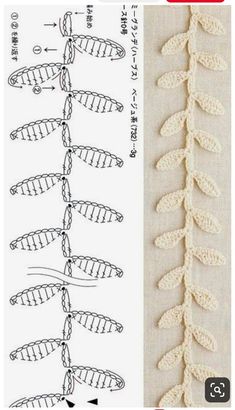 the crochet pattern shows how to knit an appliqued lace stitch