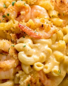 pasta with shrimp, cheese and parmesan on it