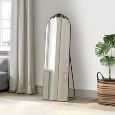 a large mirror sitting on top of a wooden floor next to a potted plant