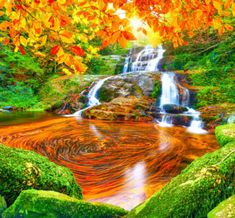 a waterfall surrounded by green mossy rocks in the forest with autumn leaves on it