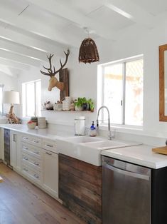 a kitchen with white walls and wooden floors has deer head mounted on the wall above the sink