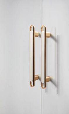 an image of two handles on a door