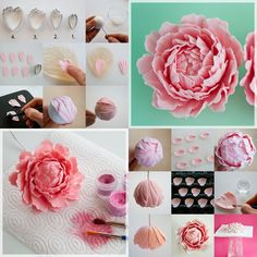 there are many different types of paper flowers on this page, including pink and white