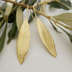 Gold Long Olive Leaf Earrings, Holy Land, Long Earrings, Leaf Jewelry, Birthday Gift for Mom, Unique Gift for Women Nature Lovers Gift - Etsy Leaves Jewelry, Delicate Jewellery, Branch Earrings, Real Leaf, Sweet Accessories, Jewelry Nature, Santorini Wedding, Natural Jewelry, Gold Leaf Earrings