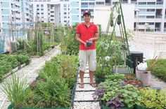 a man standing in the middle of a garden