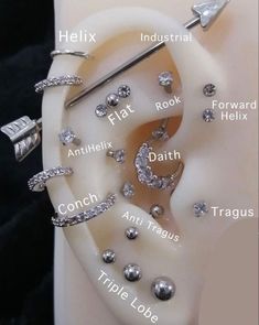 an ear with different types of piercings on it