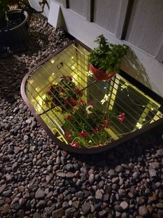 a planter with plants in it sitting on the ground next to some rocks and gravel