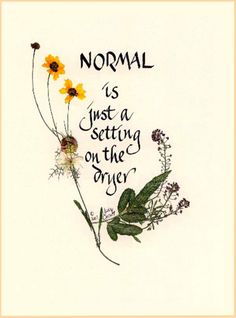 the words normal is just a setting on the other side with wildflowers and leaves