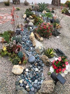 a garden filled with lots of rocks and flowers on top of gravel covered ground next to trees