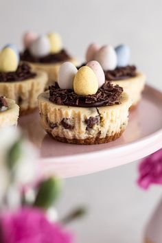 small desserts on a pink plate with flowers in the backgroung area