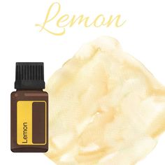 Doterra Lemon Uses, Doterra Sandalwood, Doterra Lemon Eucalyptus, Doterra Immortelle, Doterra Bergamot, Lemon Doterra Brasil