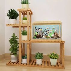 three wooden shelves with plants on them