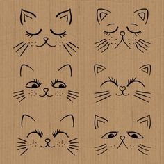 four cat faces drawn in black ink on brown paper