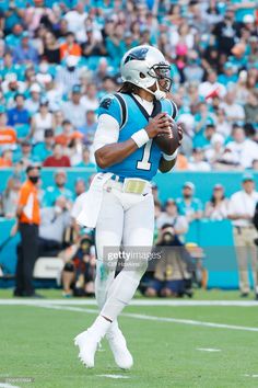 the carolina football team playing against the miami dolphins at hard rock stadium on november 22, 2013