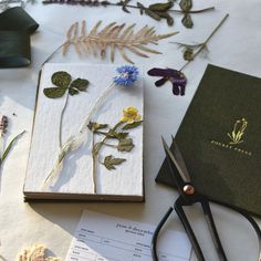 some flowers are laying out on the table next to scissors and papers that have been cut into them