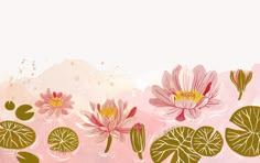 water lilies and lily pads on a pink background