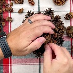 two hands holding pine cones on top of a plaid table cloth next to other pine cones