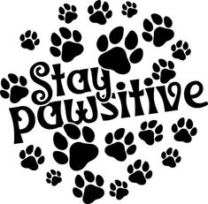 the words stay pawshive written in black and white with paw prints around it