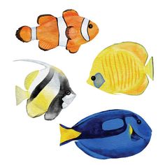 four different types of fish in watercolor on a white background, one is blue and the other is yellow