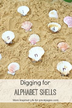 a sand box filled with shells and the words digging for alphabet shells written in it