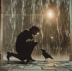 a man kneeling down next to a bird in the rain