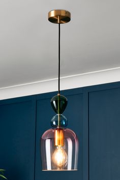 a light fixture hanging from the ceiling in a room with blue walls and green plants