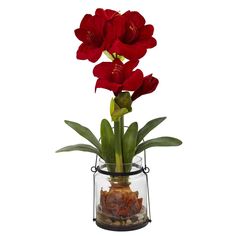 three red flowers in a glass vase with rocks and pebbles on the bottom, against a white background