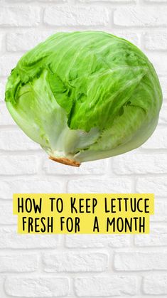 a head of lettuce in front of a white brick wall with the end cut off