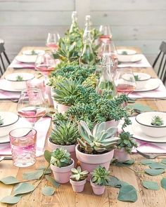 the table is set with succulents and wine glasses