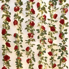 red roses and green leaves on a white background with lights in the corner behind them