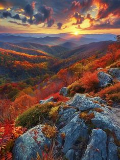 the sun is setting in the mountains with rocks and plants on it's sides