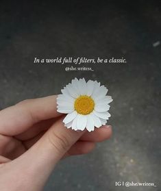 a person holding a daisy in their hand with a quote above it that reads, in a world full of filters, be a classic