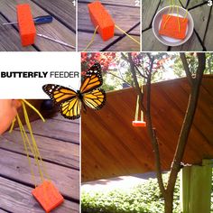 the process of making butterfly feeders is shown in four different pictures, including one being made out of orange blocks