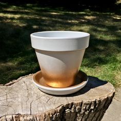 a white bowl sitting on top of a tree stump