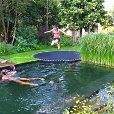 some people are swimming in the water and one person is jumping into the pool with a frisbee