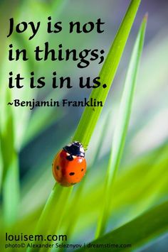 a ladybug sitting on top of a green leaf with a quote about joy is not in things it is in us