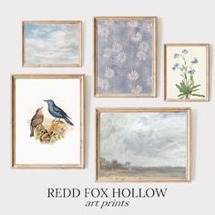 six framed paintings with flowers and birds on them, all in different frames above the words red fox hollow art prints