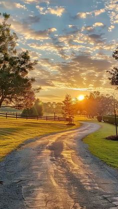 the sun is setting over a country road with trees on either side and grass in the foreground