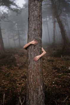 a person hugging a tree in the middle of a forest with foggy trees behind them