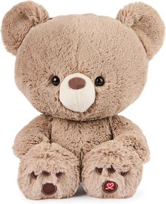 a brown teddy bear sitting up against a white background