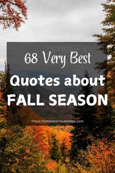 68 Golden Quotes About Fall Season to Inspire Autumn Escape Quotes About Fall Season, Quotes About Fall, Fall Season Quotes, Captivating Quotes, Very Best Quotes, Autumn Quote, Golden Quotes, Season Quotes, Travel 2024