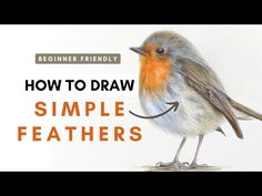 a drawing of a small bird with the words how to draw simple feathers on it