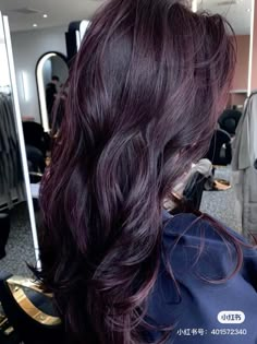 Colored Hair For Green Eyes, Dark Mauve Hair Color, Black Cherry Plum Hair Color, Dark Color Ideas Hair, Dark Plum Balayage Hair, Dark Brown With Plum Highlights, Black Wine Hair, Super Dark Purple Hair, Dark Violet Hair Brown Deep Purple