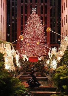 a christmas tree in the middle of a city